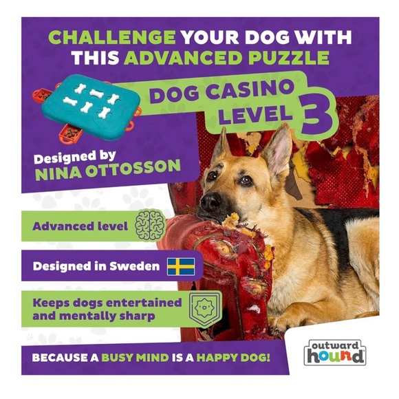 Outward Hound by Ottoson Dog Casino Interactive Dog Puzzle - Level 3 Advanced - Picture 4 of 4